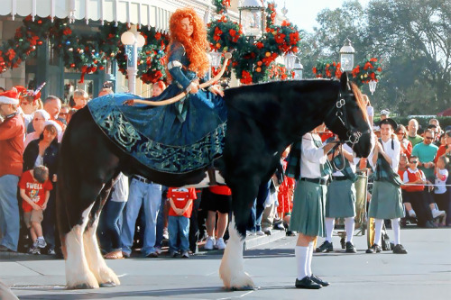 fancysomedisneymagic:Today is Merida’s coronation at Magic Kingdom in Walt Disney World Resort. Welc