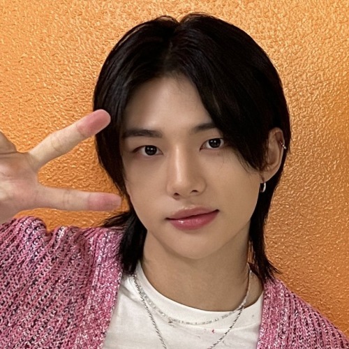 Hwang Hyunjin + Kim Seungmin Matching Icons/metadinhas.