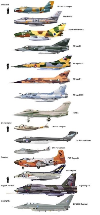 enrique262: Fighter planes size comparison.