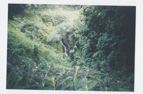 samantheeyo - Maui, Hawaii 2001