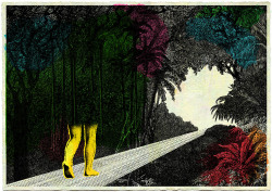 lustik:  Illustrations by Chloé Poizat. Artists on tumblr 