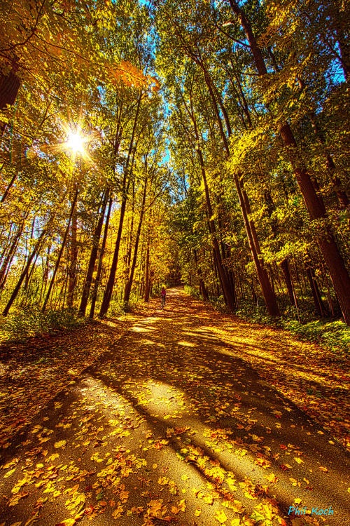 “Autumn Road”Wisconsin Horizons by Phil KochTurning natural landscapes into portraits of