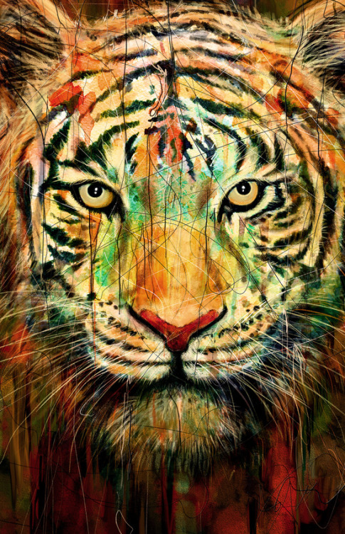 anabellstar:  tiger by nicebleed