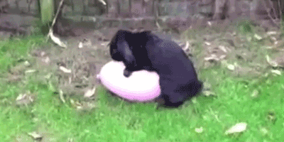 monchichitamberine:Lmao! Goodnight @just-a-simple-kind-of-man