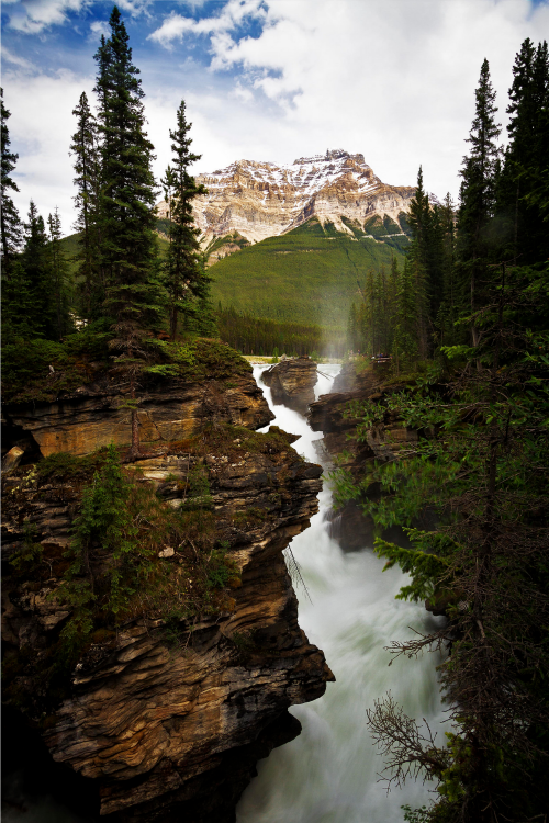 expressions-of-nature:  Athabasca Falls, Canada by Tucapel on Flickr.