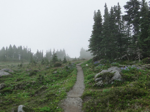 Spray Park trail. by bikejr