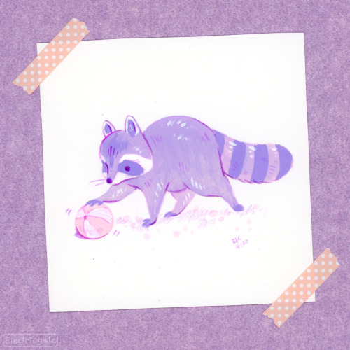 electricgale:#peachtober20 Day 2: Raccoon! 