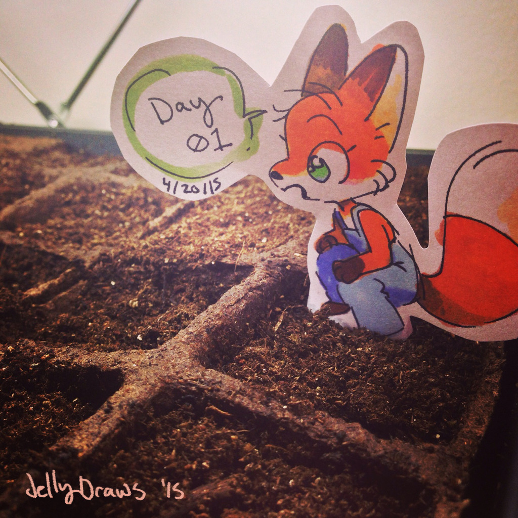 jellydraws:  I started some seeds, and this little fox has been hanging around them.