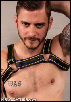 gearlocker:  The harness ain’t bad, either….