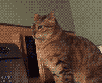 funnynhilariousgif:More Funny and Hilarious Gifs »