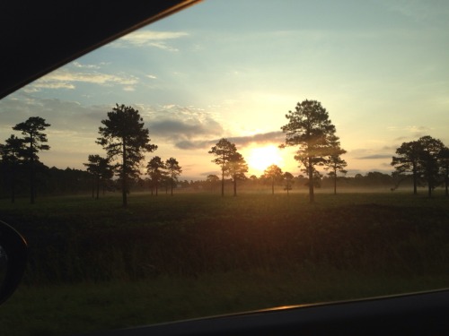 S U N R I S E