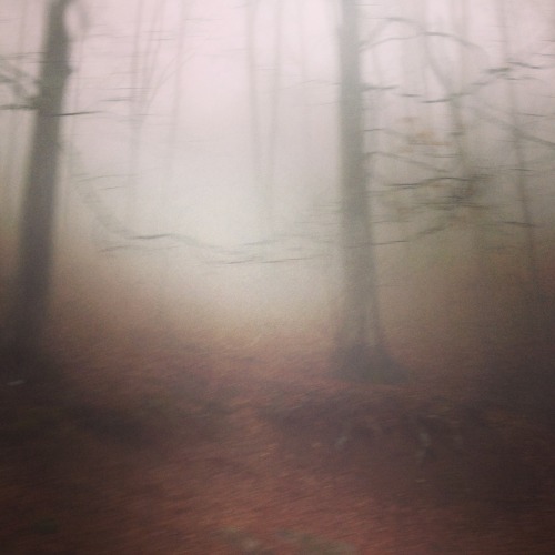 It’s Fine To Get Lost Sometimes.