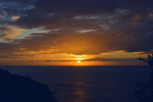 tumblr photo atuwilson 1