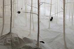 fer1972:  A Forest made of Washi Paper by Takashi Kuribayashi  Que loco! O.o