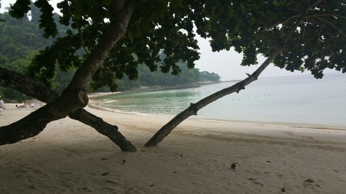 the-brown-man:  Tavajun Beach, Gaya Island Resort, Gaya Island, Borneo.
