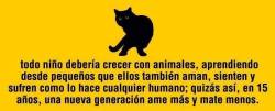 tegustapocolawea:  Aguante los gatos locoooo no me importa nadaa!!!!