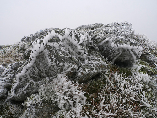 Ben Ledi ice crystals by Niall Corbet