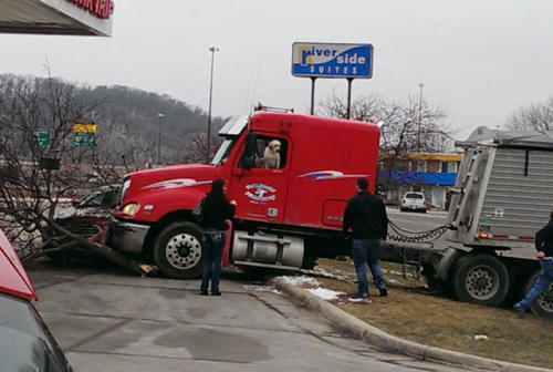 mentalflossr:  A truck driver left his semi idling near a Kwik Trip convenience store in Mankato, Minnesota, last Friday afternoon and went inside to make a purchase. While he was in the store, his Labrador retriever knocked the truck into gear and it