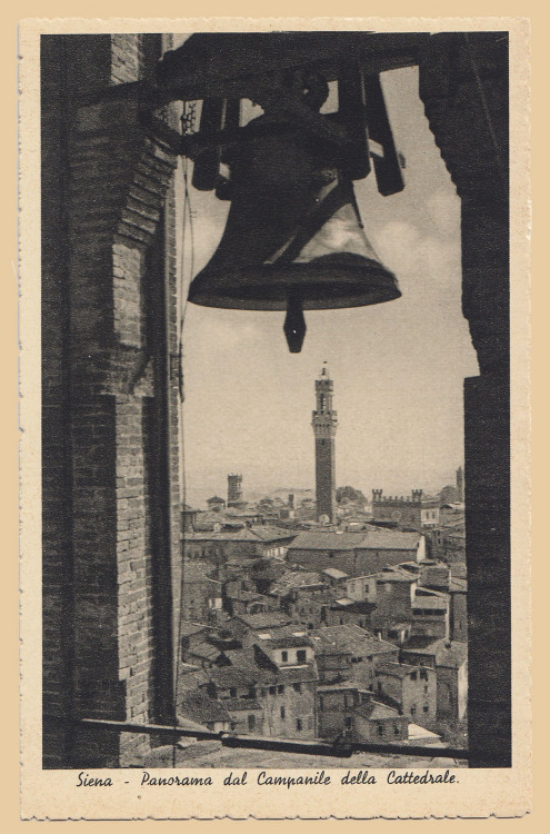 Panorama dal Campanile della CattedraleEdit. Ditta Stefano Venturini - Siena - 1231939 - Stab. Grafi