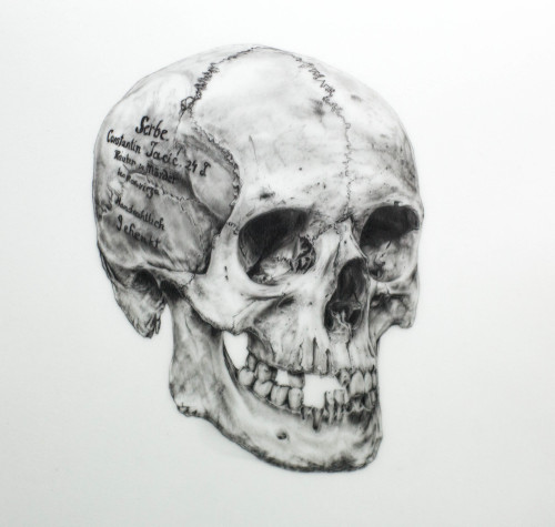 red-lipstick:  Brittany Schall (b. 1985, Littleton, CO, USA) - 1: Constantine  Jacic, 2014  Drawings: Graphite  2: Skull, 2010  Mixed Media on Mylar  3: Goodwill Fernando, 2014  Drawings: Graphite 