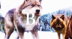 jacksonrathbons:  The Twilight Saga Alphabet       ↳ Q is for Quileute people 