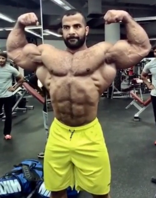 Ahmed Wardany