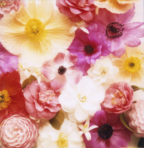 englishsnow:   Jen Gotch      