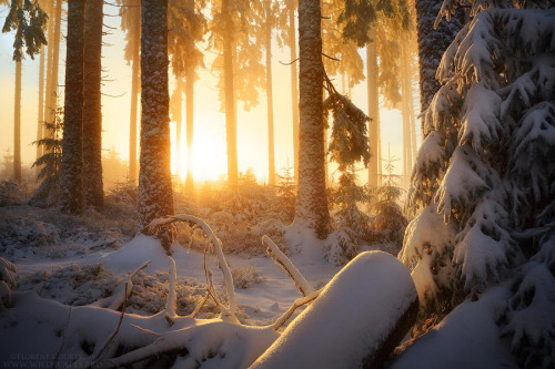 enchanting-landscapes - Winter WonderbyFlorent Courty