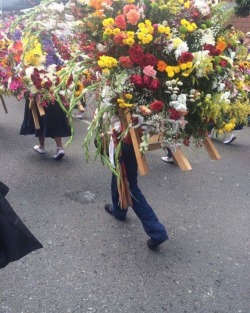 #feriadeflores2017 #desfiledelossilleteros