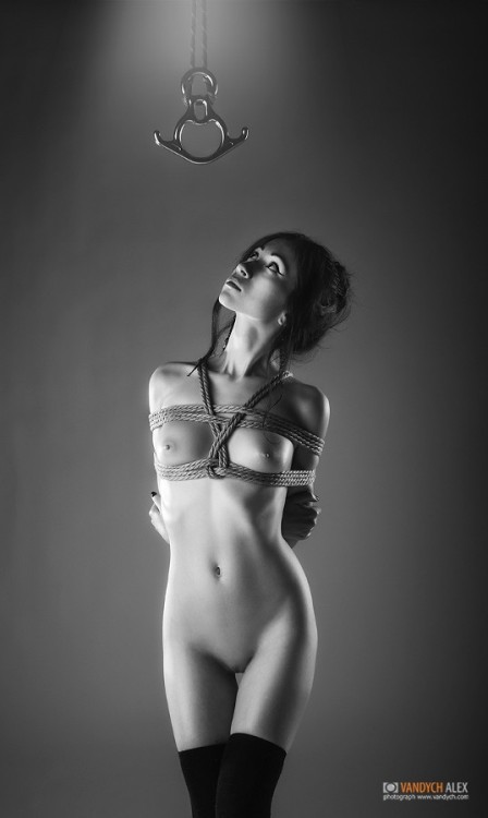 XXX xhania-x:  nudityandart:  Curiosities (by photo