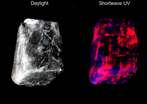 Glowing CalciteThis crystal of calcite from the Apache Mine in New Mexico is colorless when it is ex
