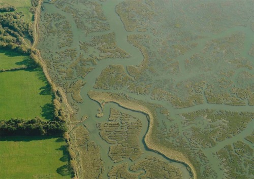 ~  found on : archdaily.com ~  River Beaulieu's estuary, U.K.