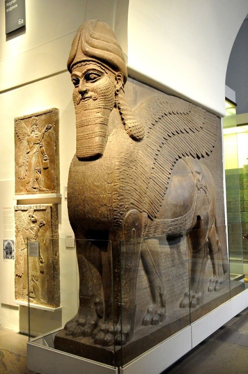 Assyrian lamassu from the Throne Room (Room B) of the North-West Palace at Nimrud (present-day Iraq)