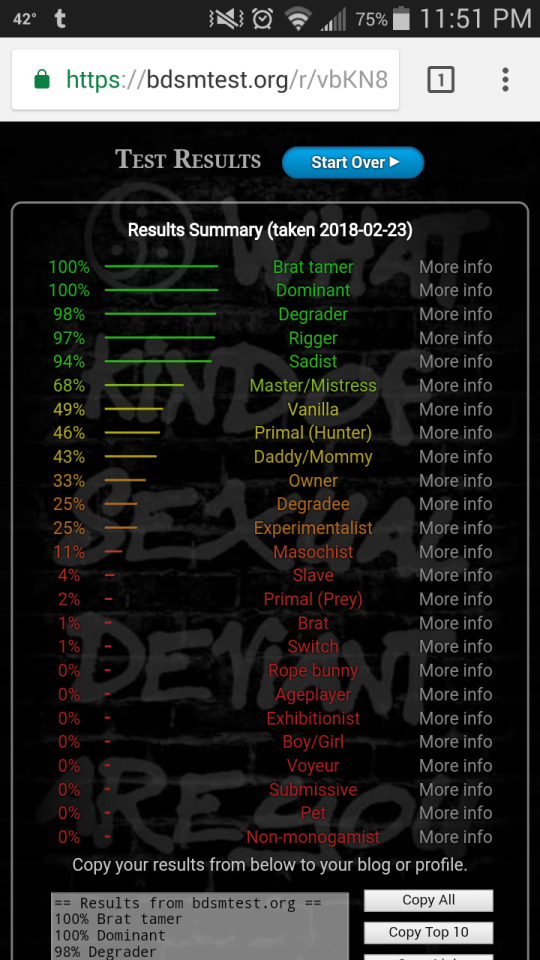 The Bdsm Test