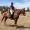 wildermouse:these are the trails i used to ride when i first started riding ten years ago, and now i’m back on them again!! this horse just loves to go - we had quite a few gallops this ride 