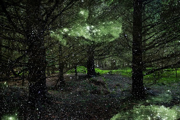 asylum-art:  Ellie Davies lives in London and works in the woods and forests  of