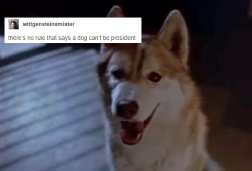 Diefenbaker + Text Posts