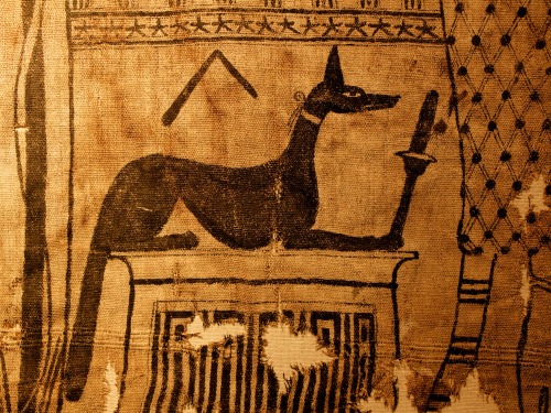 glencairnmuseum:Anubis, the god of the dead and embalming, is represented as a jackal-like animal. H
