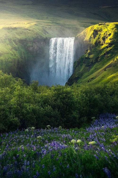 j-k-i-ng:“Southern Region of Iceland“ by | Simona Buratti