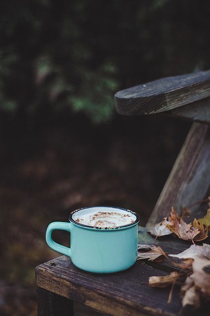 Fall In Love