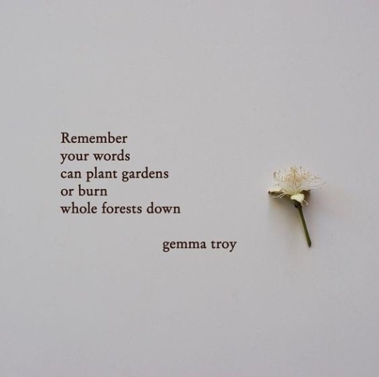 thepersonalquotes:  