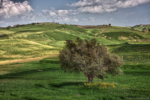 Sicily (Italy)