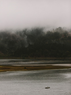 niravpatelphotography:  Bolinas, CA. 