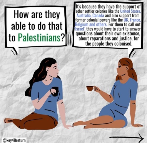 Include Palestine In Your Activism.