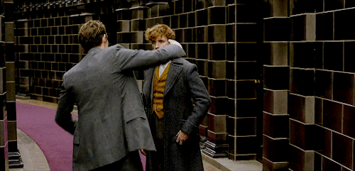 fantasticbeasts: Theseus and Newt in “Fantastic Beasts: The Crimes of Grindelwald”