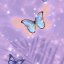 magicalsweetsbeliever08