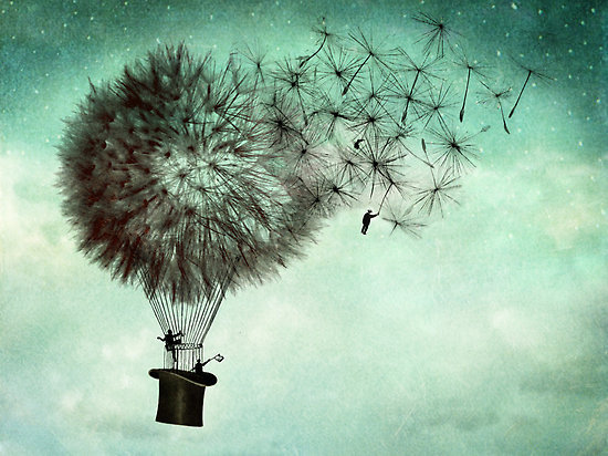 showslow:  Catrin Welz-Stein 
