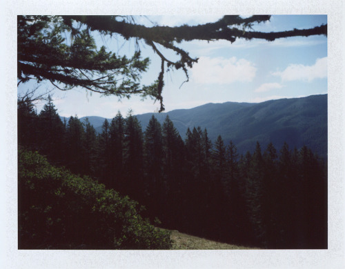 mikescofield:  I took my polaroid hiking today!