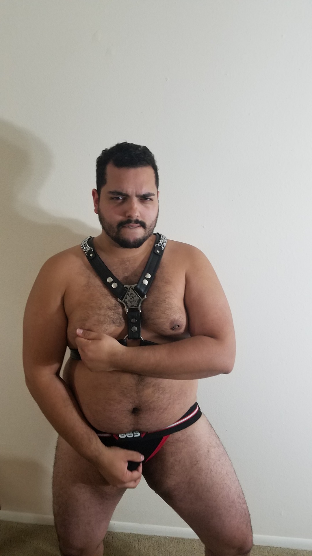 techycub:  New harness photoshoot