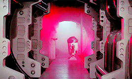 thestarwarsdaily:  I would trust her with my life. 